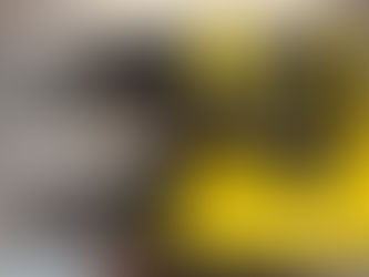 TDF LIMITED EDITION ペダル