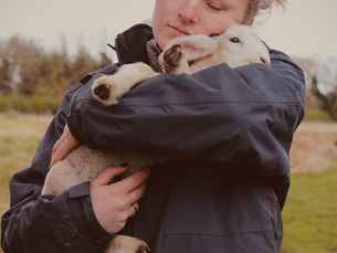 Transforming Lives: The Heartwarming Journey of Wild Things Rescue