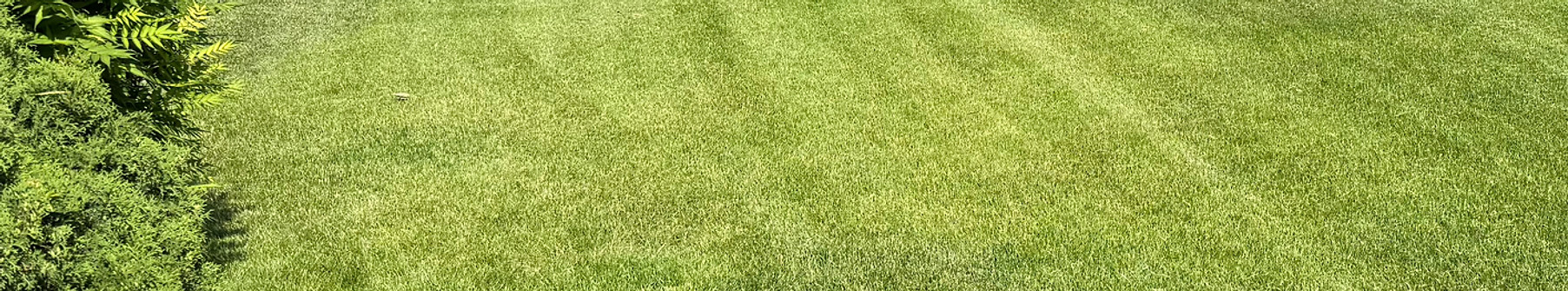 IMG_0742.jpeg