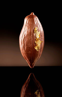 Design ohne Titel (15)-min.png