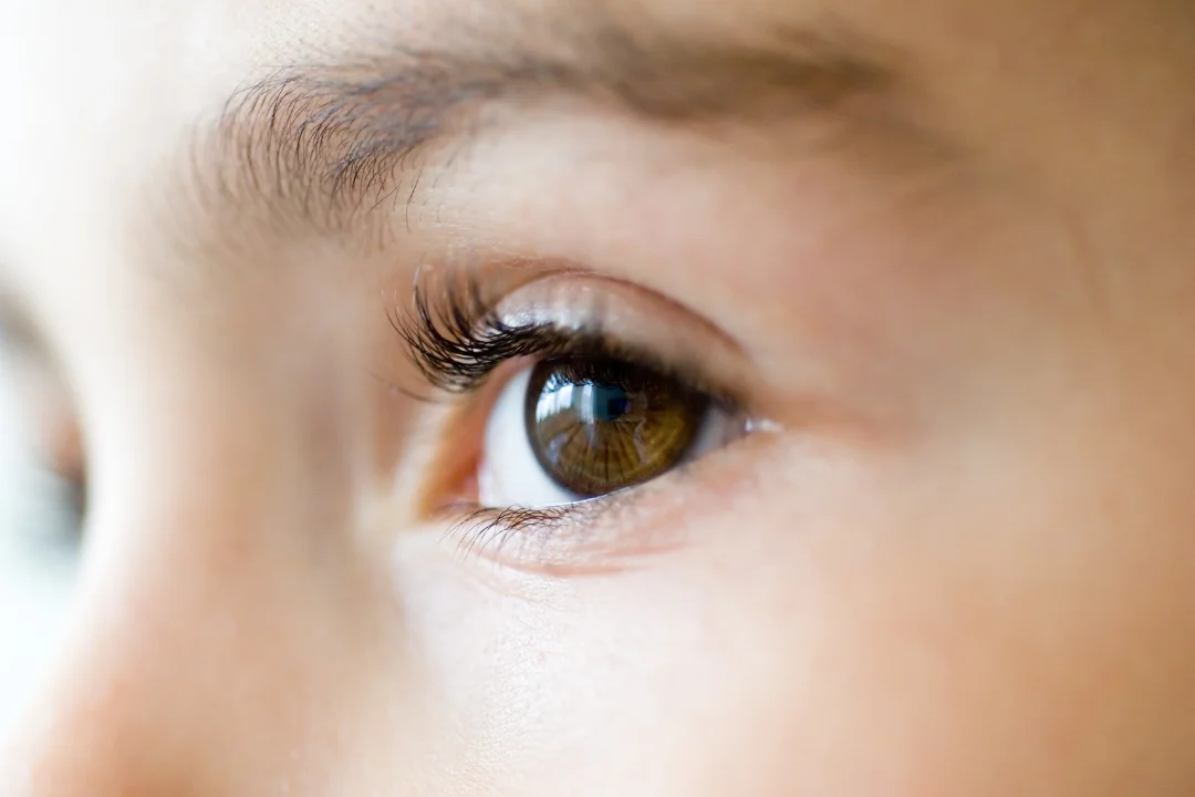 Blogs-1.png.webp