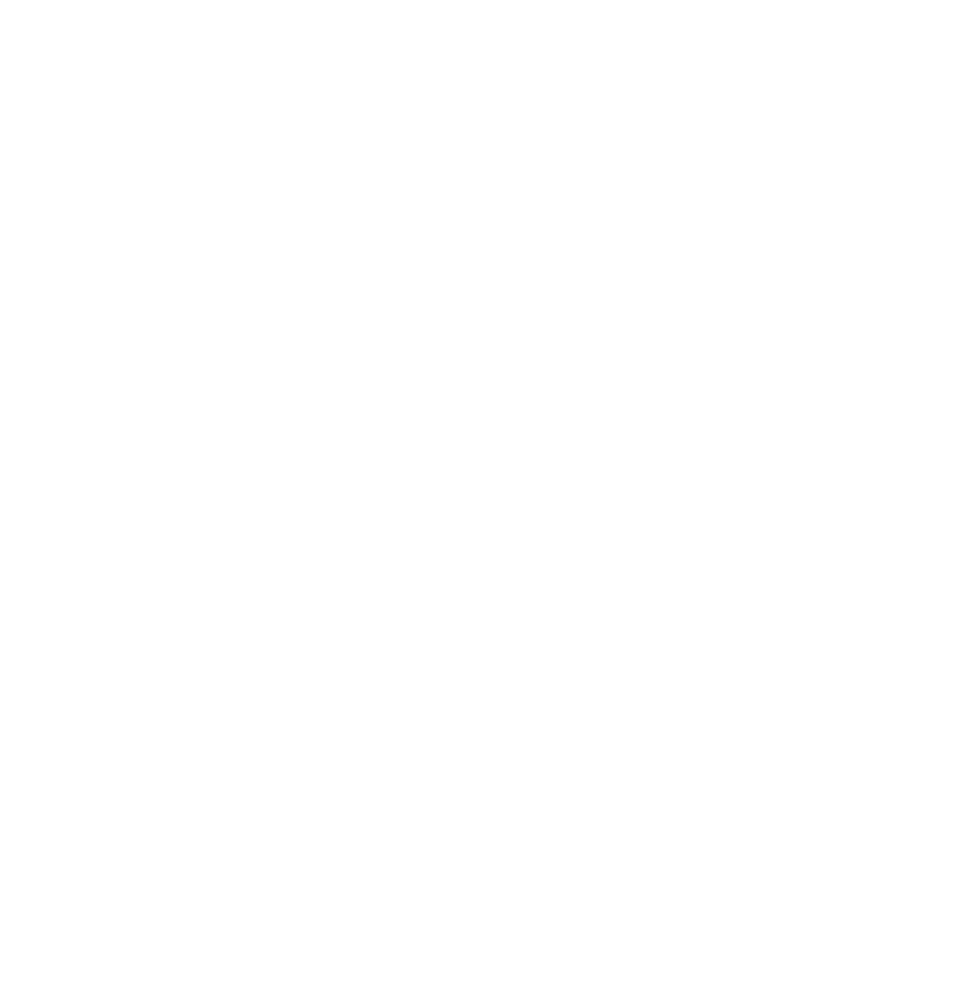 LOGO POLY BRANCA-8.png