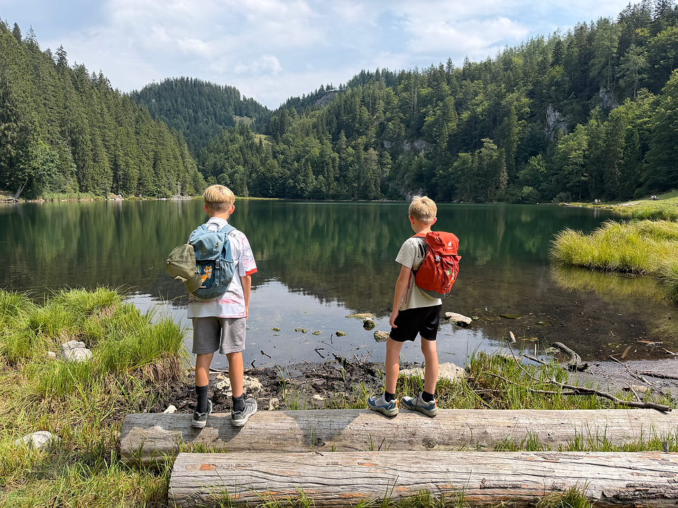 Ausblick auf den Taubensee