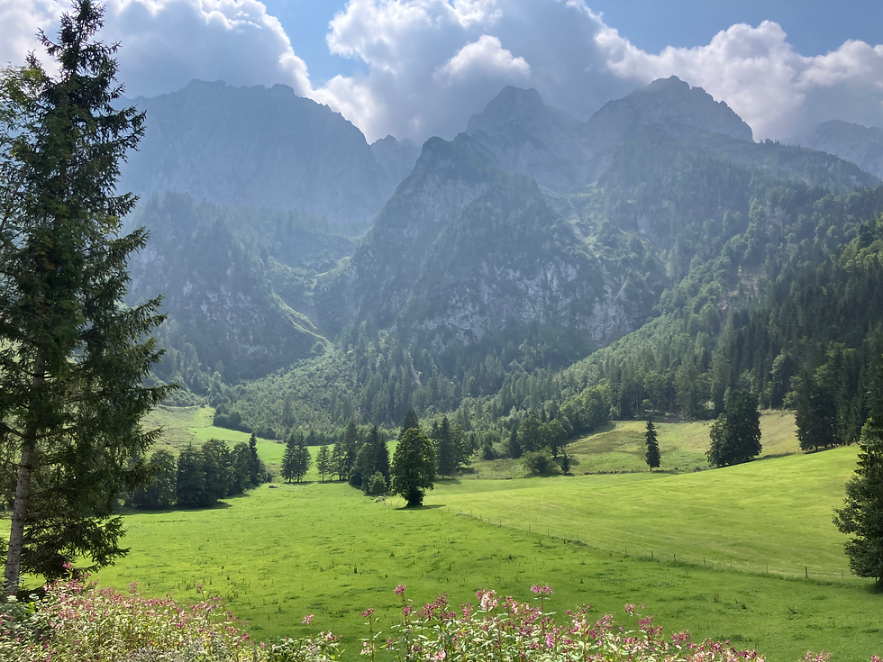 Blick von der Aschinger Alm in Ebbs, Durchholzen auf das Kaisergebirge