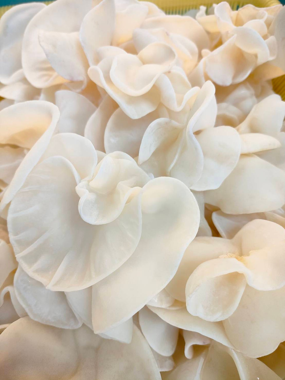 胃腸に良い薬膳のイメージ画像