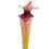 Miniaturbild: Sarracenia x moorei - MK H182, `Helen Mary´