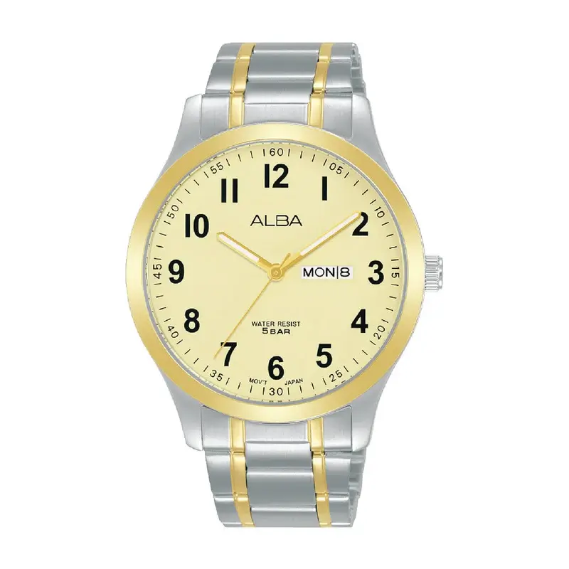 Alba Analog Men's Watch
