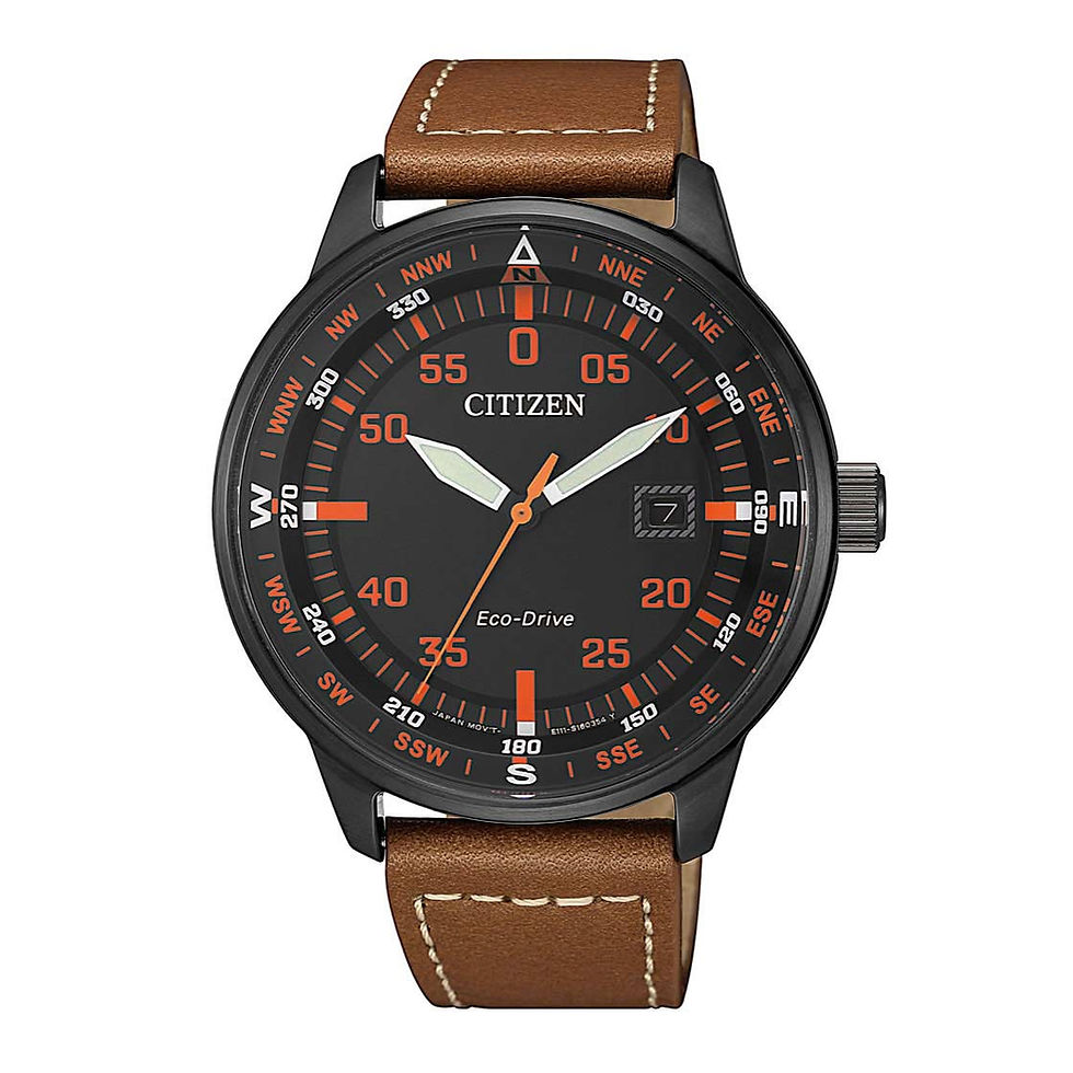 Citizen Eco-Drive Analog Men's Watch