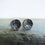 Thumbnail: slate grey earrings