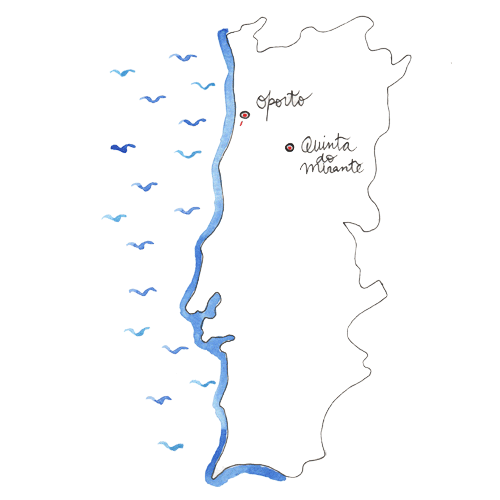 MAP.gif