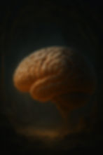 Imagem do WhatsApp de 2025-07-22 à(s) 18.26.25_30651f04.jpg