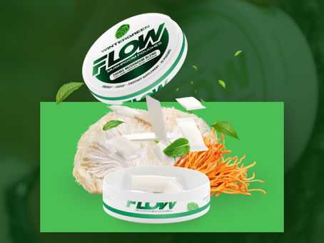 Best Functional Mushrooms for Energy, Focus, and Clean Daily Performance