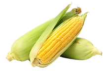 341.png