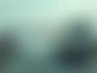 Understanding the Schengen 90/180 Rule for Non-EU Truck Drivers