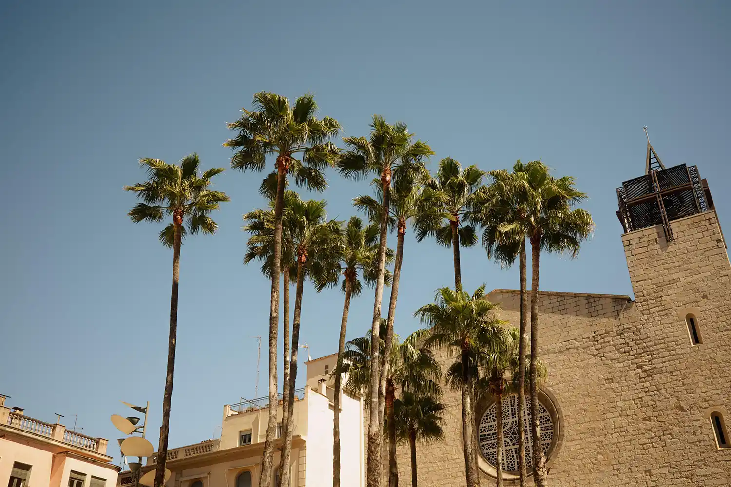 Altstadt von Girona mit Palmen, analog fotografiert