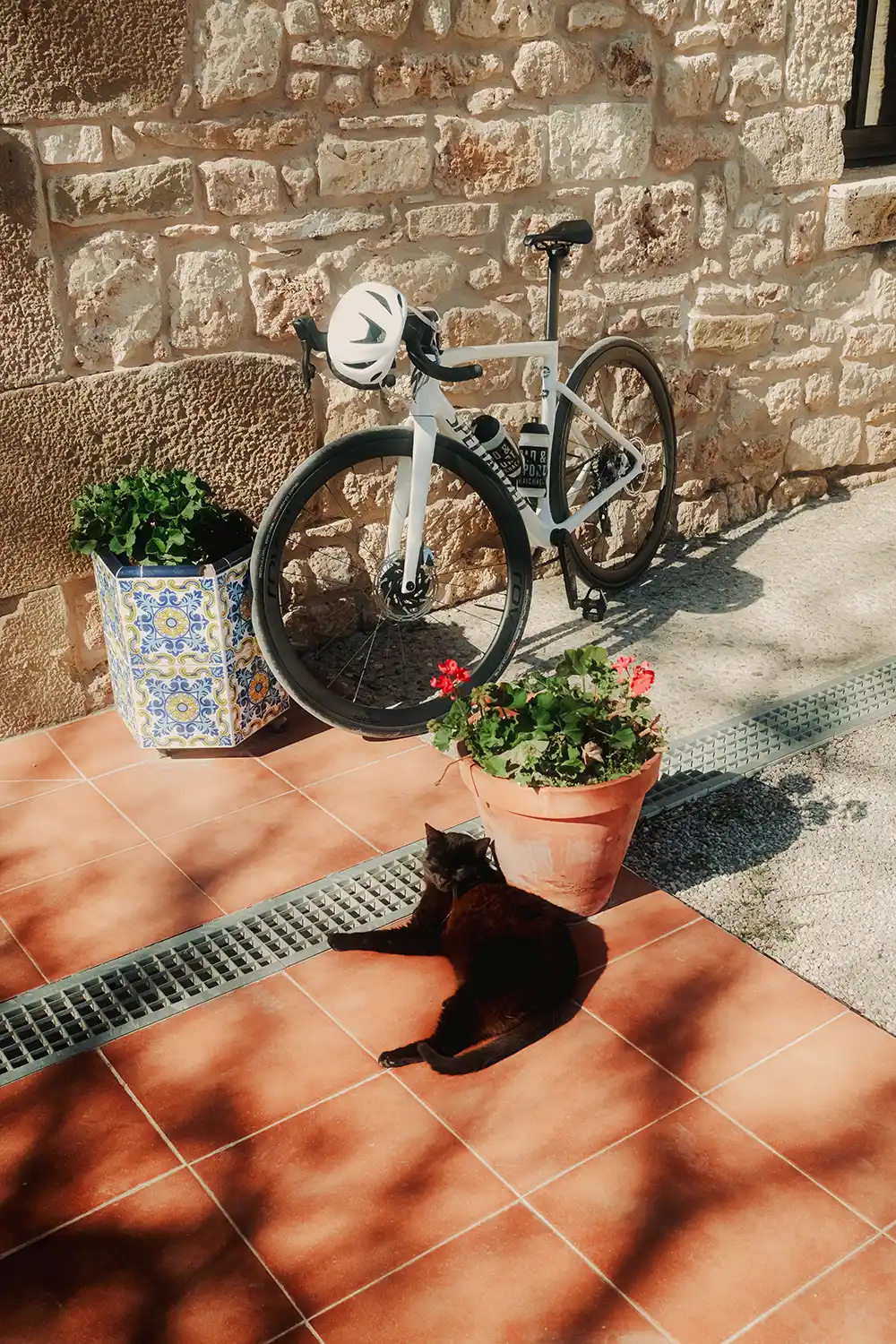 Katze genießt Frühlingssonne in Girona daneben ein Scott Rennrad