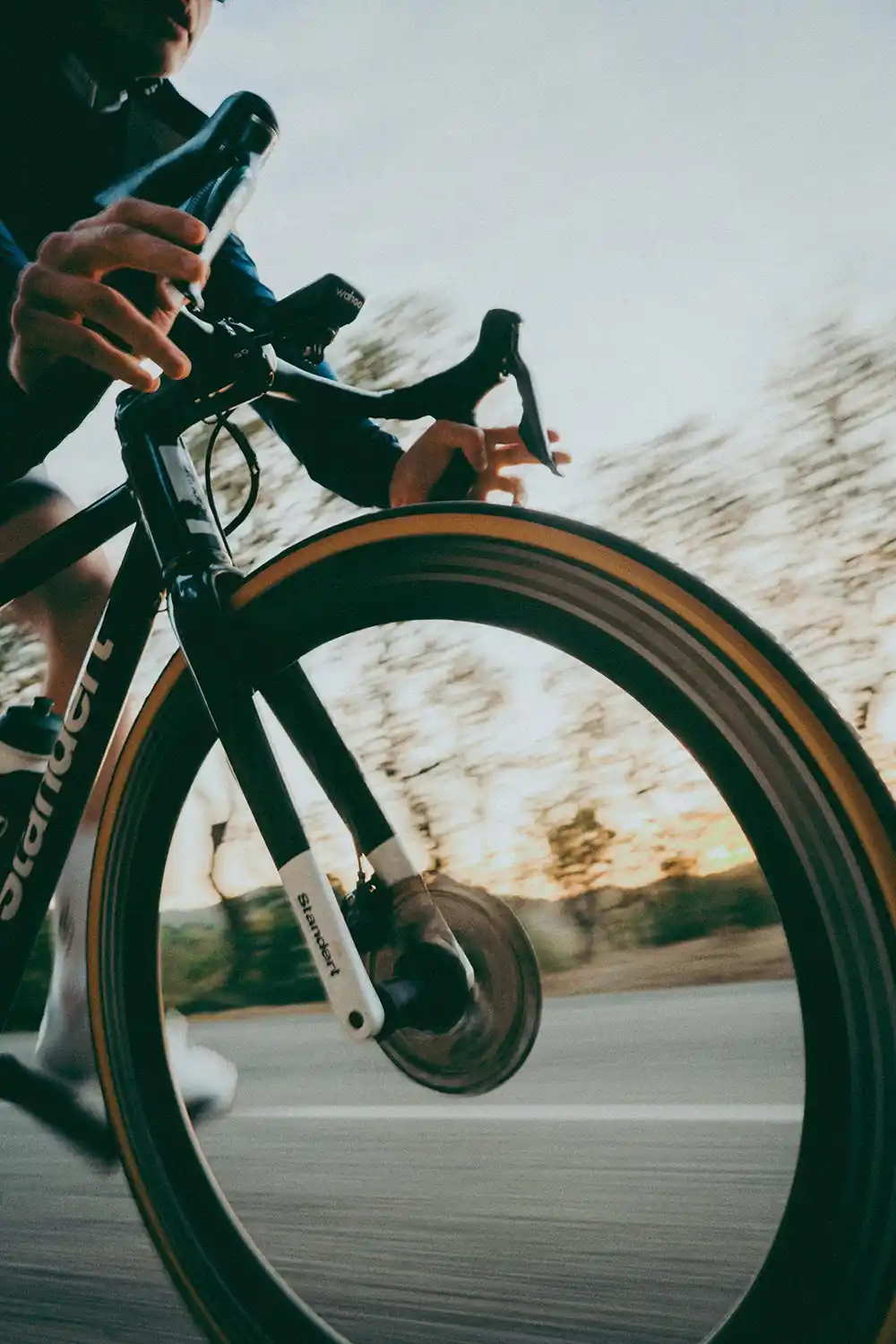 808. x Scyence Training Camp auf Mallorca