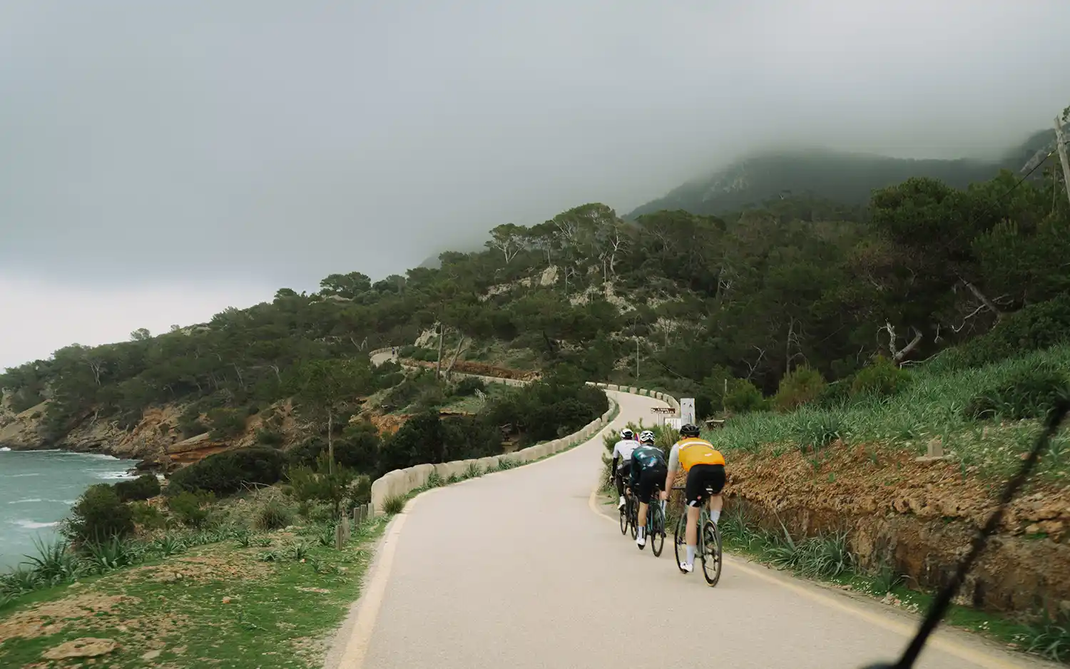 Rennrad Gruppe beim Trainingscamp auf Mallorca