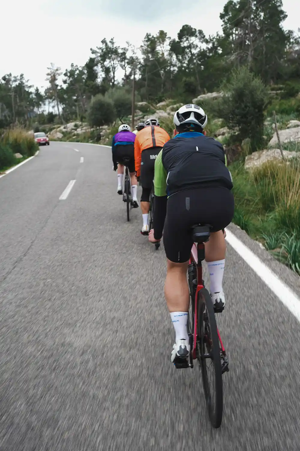 Gruppe Rennradfahrer im 808 Scyence Trainingcamp auf Mallorca fährt eine schmale Straße entlang.