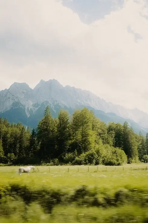 808project-travel-two-twenty-rennradfahren-tirol.webp