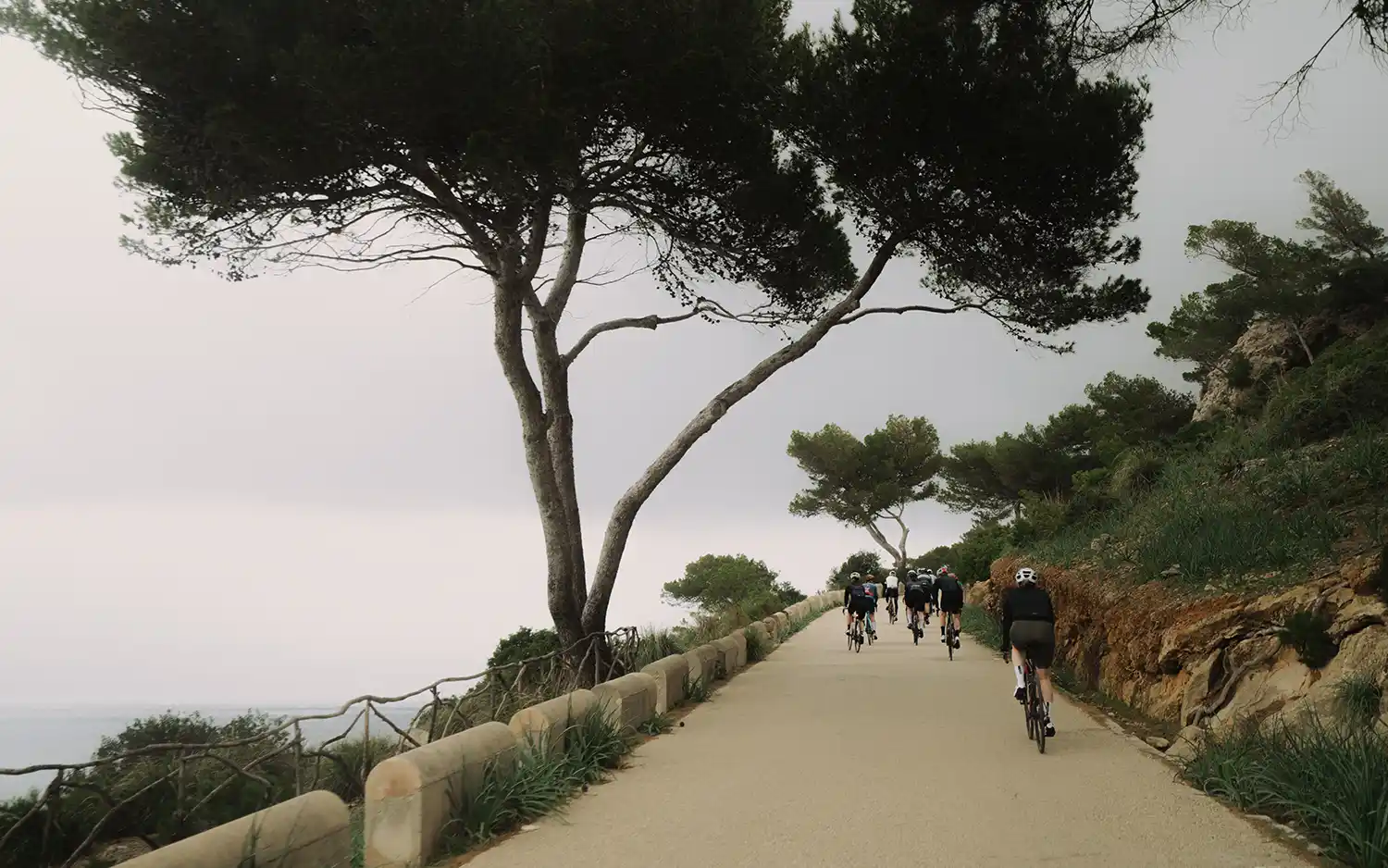 Rennrad Gruppe entlang der Küste auf Mallorca
