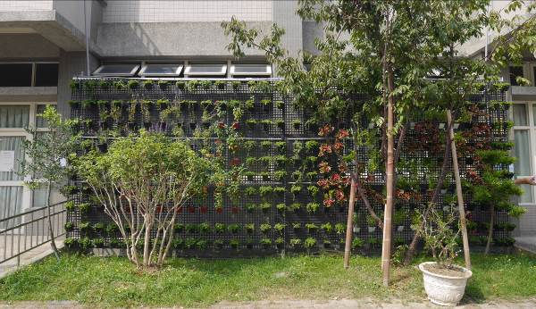 草屯鎮新厝社區發展協會