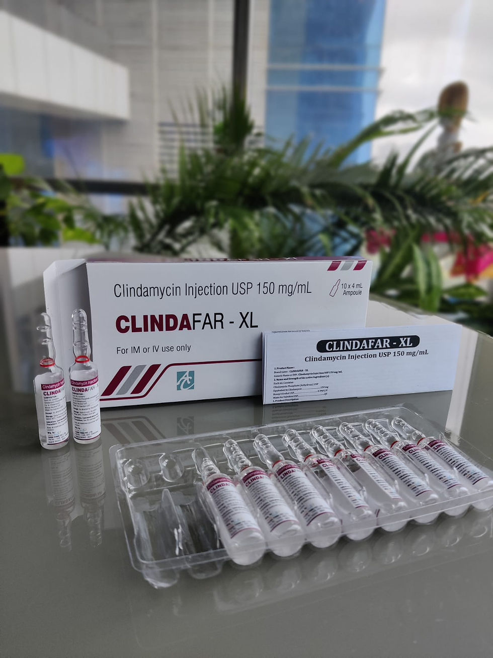 Clindamycin Injection manufacturer
