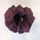 Thumbnail: Dark burgandy scrunchie