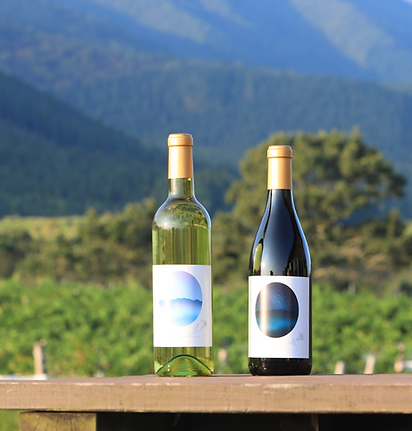 截圖 2024-10-15 下午5.25.42.png