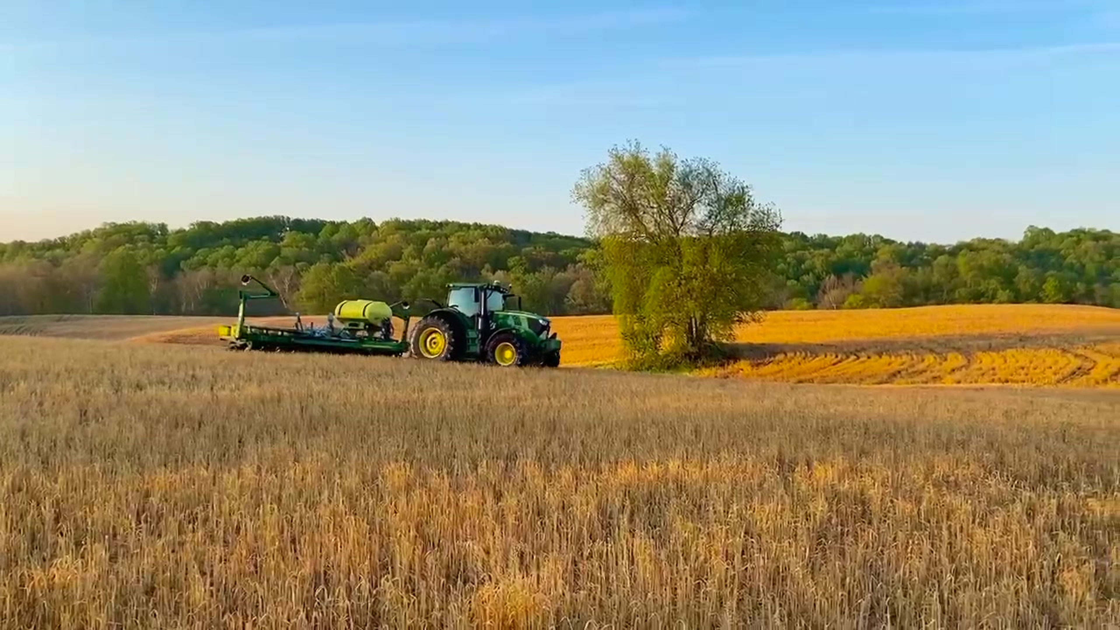 Lippering Farm Export | Lippy Brothers Farms | United States