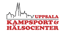 Kampsport i Uppsala
