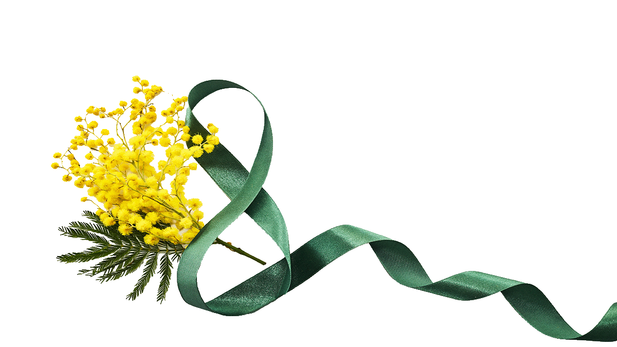 AcaciaWithRibbon.gif