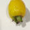 Thumbnail: Yellow Cherry of the Rio Grande 
