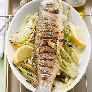 Loup De Mer