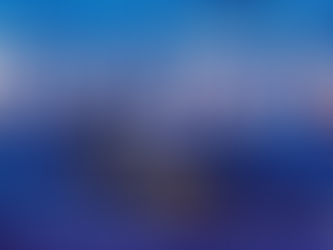 Tampa Bay Blues Festival Volunteer Coordinator