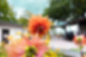 992A4491030.jpg