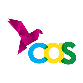 LOGO CAS.png