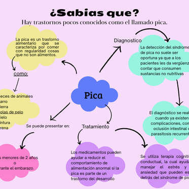 ¿Qué es el trastorno de la pica?