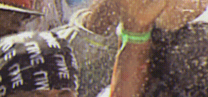image3.gif
