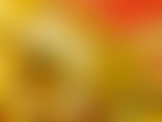 ２０２３年１月予約空き状況←こちらをクリック！