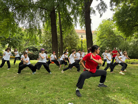 “这就是武术”(Das Ist Wushu)在维也纳中学的回顾