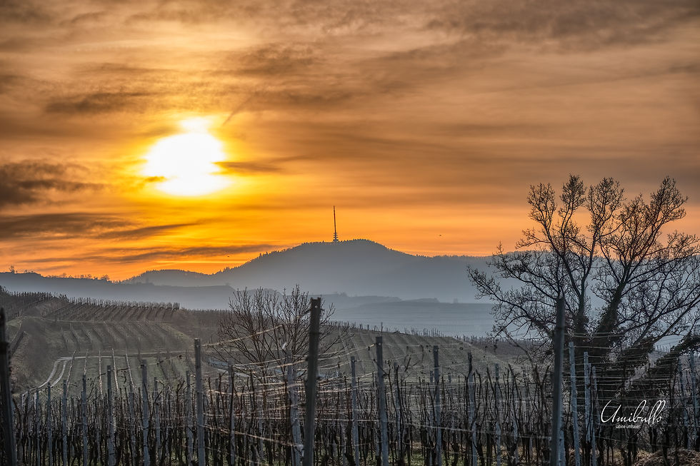 Sonnenaufgang am Totenkopf