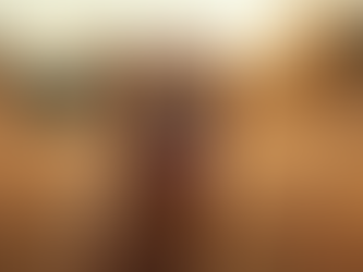 Understanding Dog Training Costs: What You Need to Know