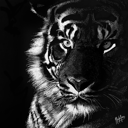 TIGRE_c.tif
