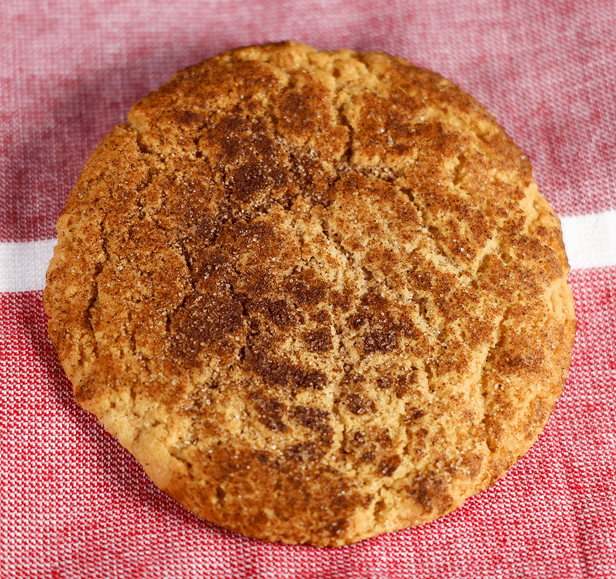 Snickerdoodle Cookie