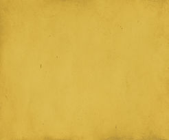 yellow texture background.jpg
