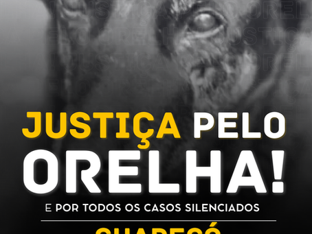 Justiça Pelo Orelha