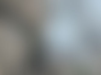 Family Funishment Field Notes: Ostrog Monastery