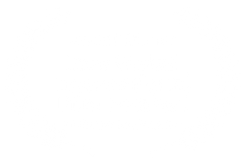 Award Winner best musuc video - Indo Glo