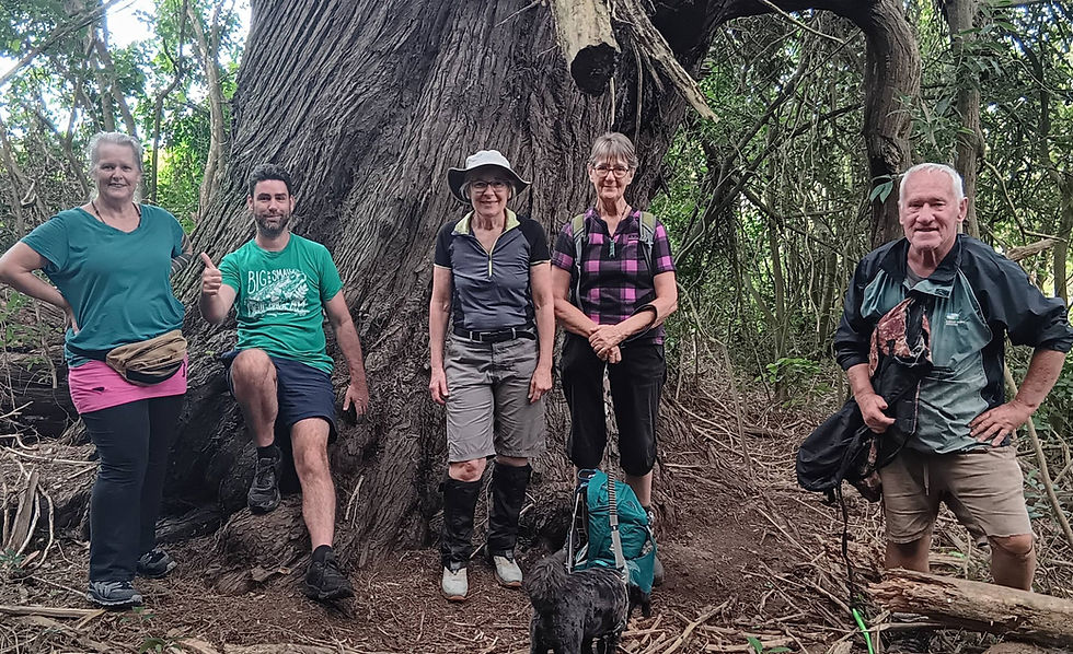 More funding on the way for trapping groups
